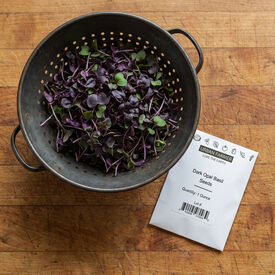 Dark Opal Basil, Microgreen Seeds